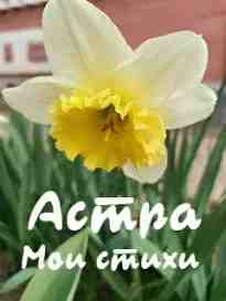 audio/astra/moi-stikhi-astra_8171.jpg