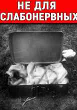 Автор неизвестен: Самое жуткое дело Парижа