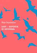 Берколайко Марк: Баку – Воронеж: не догонишь