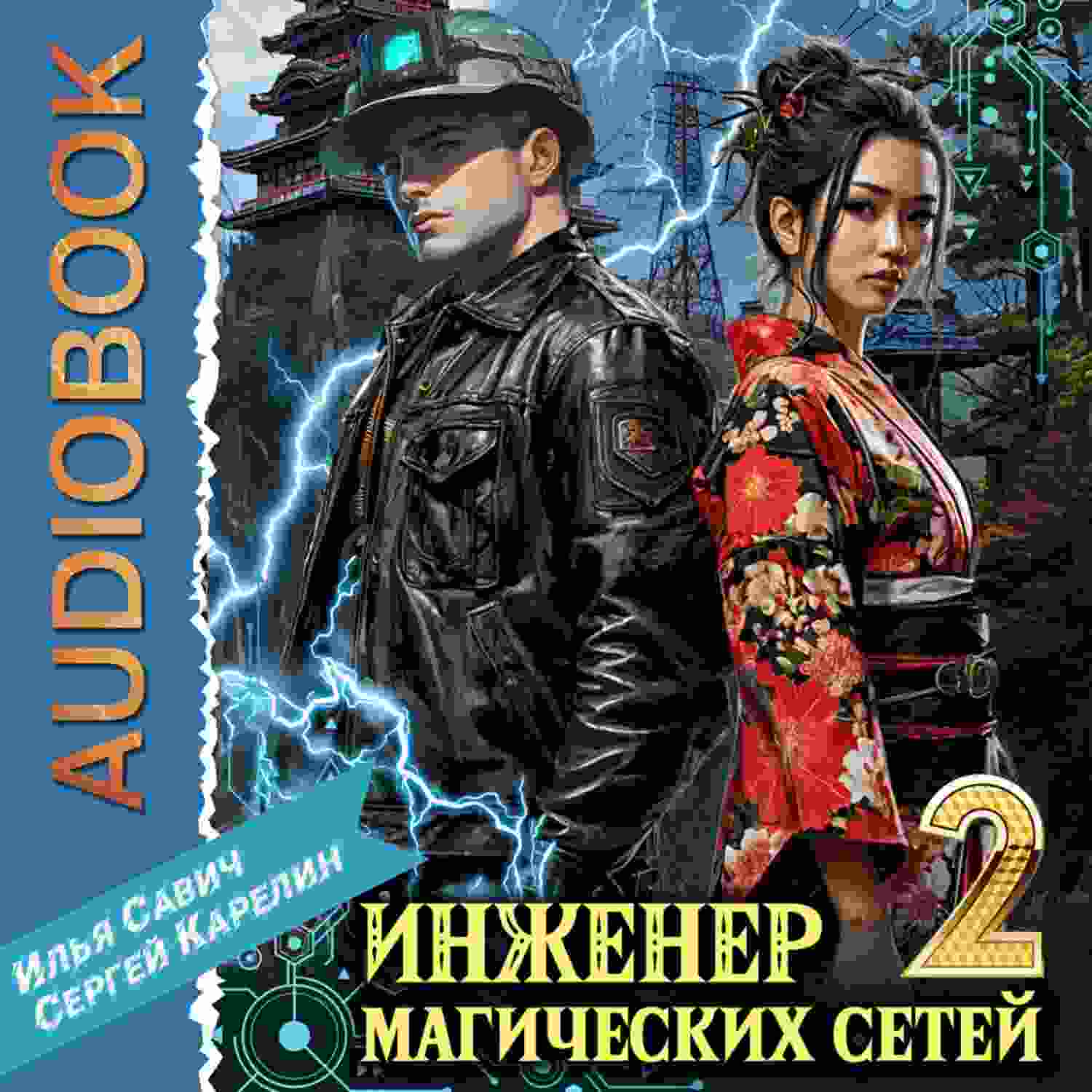 Карелин Сергей: Инженер магических сетей 2