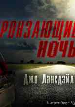 Лансдэйл Джо: Пронзающие ночь