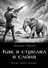 audio/oruehll-dzhordzh/kak-ja-streljal-v-slona_8740.jpg