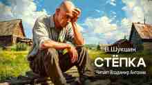 Шукшин Василий: Стёпка
