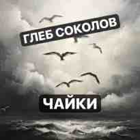 Соколов Глеб: Чайки