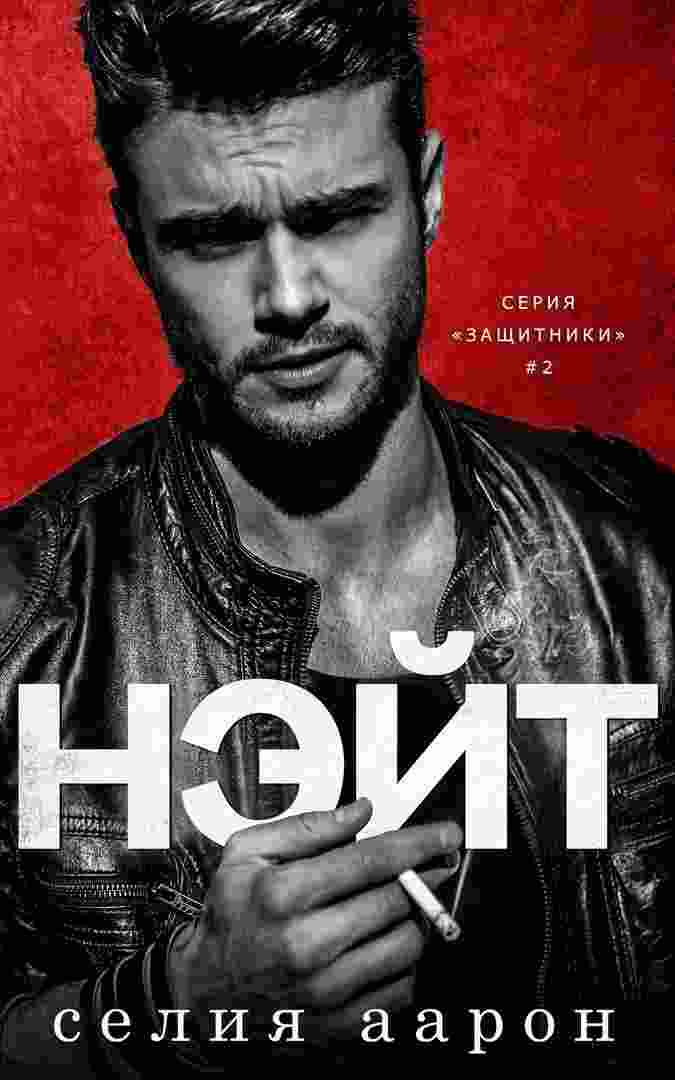 books/aaron-selija/nehyt.jpg