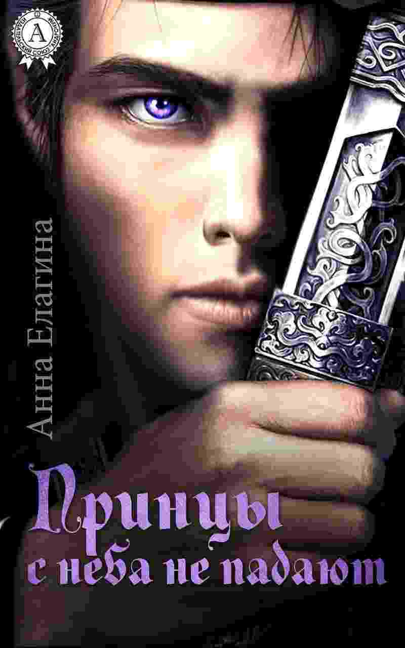 books/elagina-anna/princih-s-neba-ne-padajut.jpg