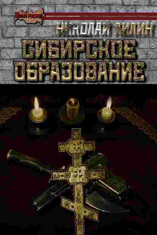 Лилин Николай: Сибирское образование