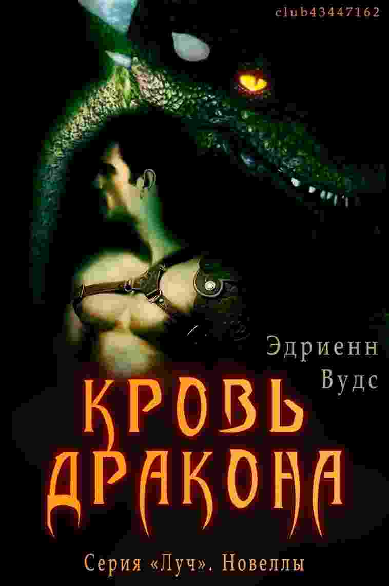 books/vuds-ehdrienn/krovjh-drakona.jpg