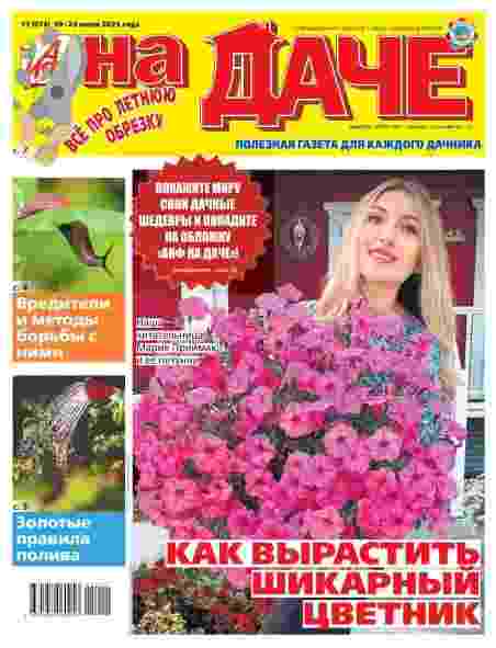 АиФ. На Даче: №11 за июнь 2025г.