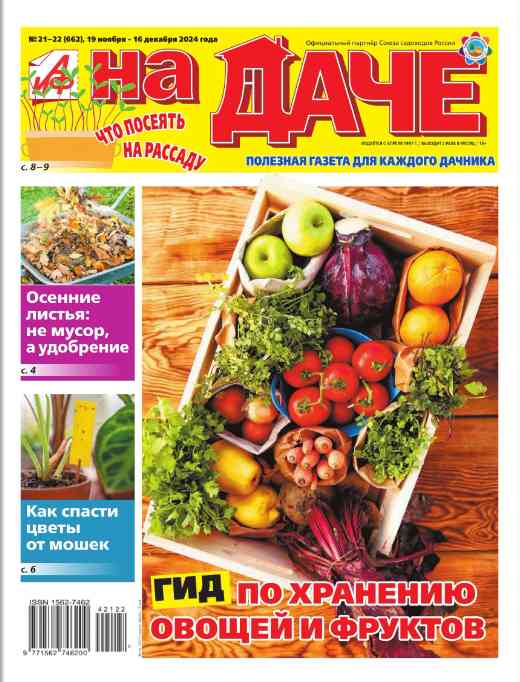 jurnal/aif-na-dache/21-22-12-2024.jpg