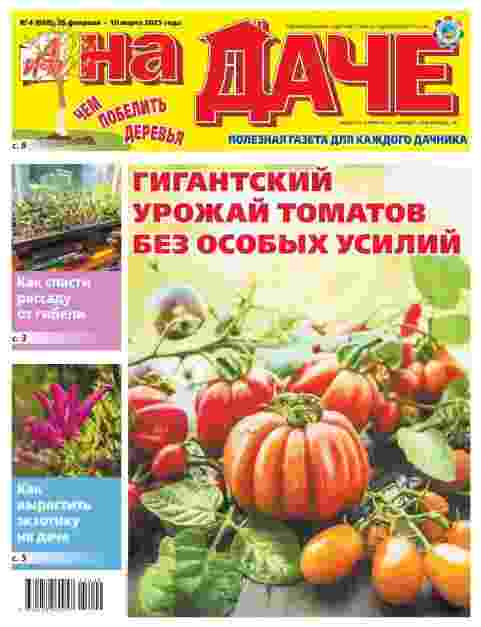 АиФ. На Даче: №4 за март 2025г.