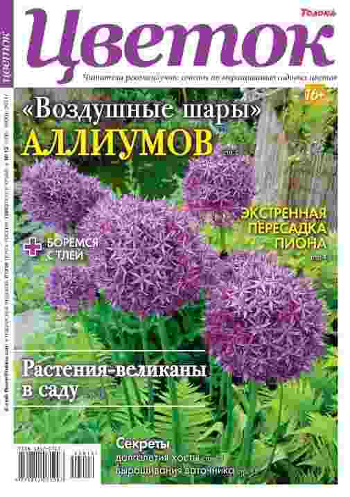 jurnal/cvetok/12-06-08-2024.jpg