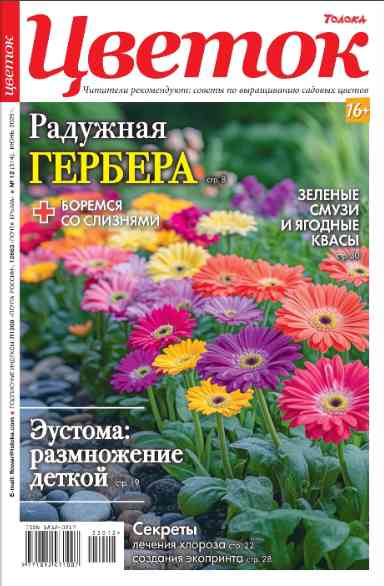 Цветок: №12 за июнь-август 2025г.