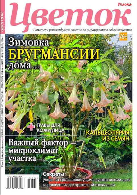 jurnal/cvetok/22-06-08-2024.jpg