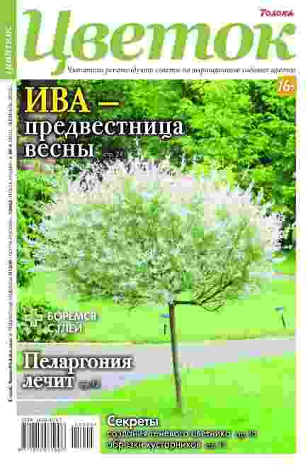 Цветок: №4 за июнь-август 2025г.