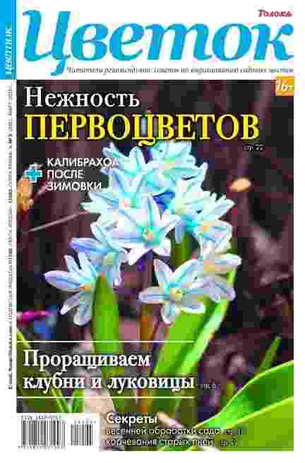 Цветок: №5 за июнь-август 2025г.