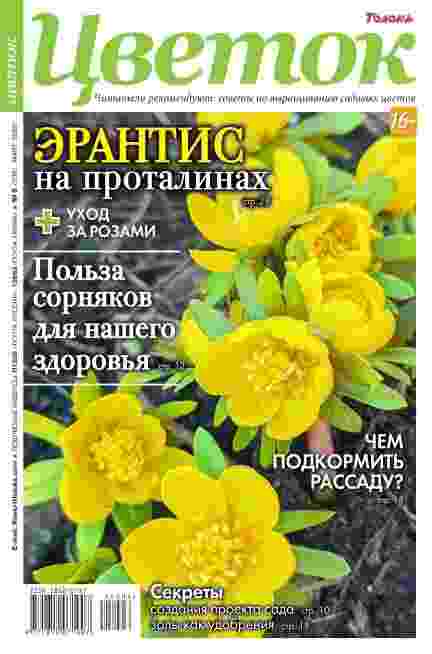 Цветок: №6 за июнь-август 2025г.