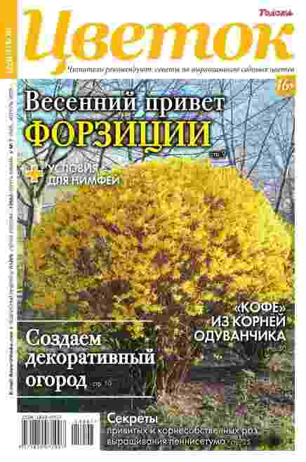 Цветок: №7 за июнь-август 2025г.