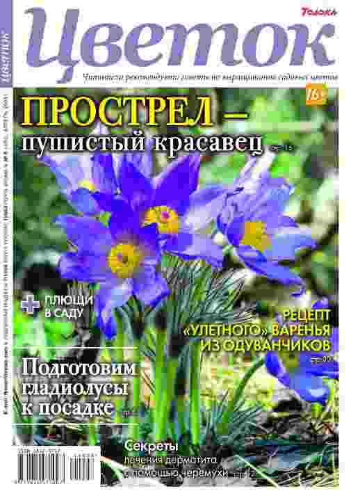 jurnal/cvetok/8-06-08-2024.jpg