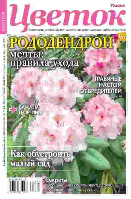 Цветок: №9 за июнь-август 2025г.