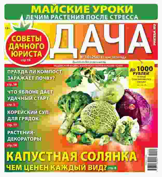 Дача: №10 за май 2024г.