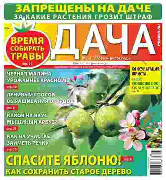 Дача: №11 за июнь 2025г.