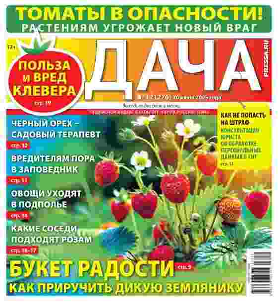 Дача: №12 за июнь 2025г.