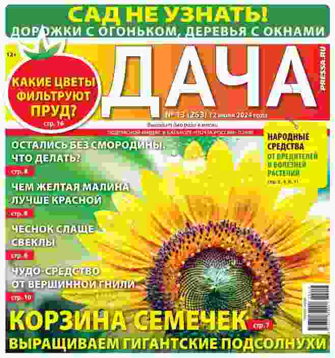 jurnal/dacha/13-07-2024.jpg
