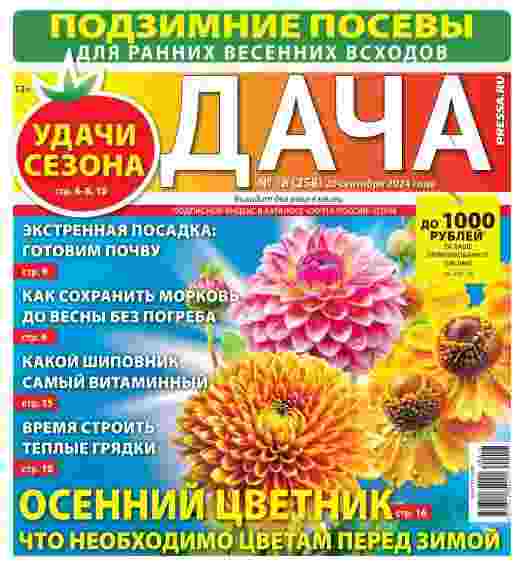 jurnal/dacha/18-09-2024.jpg
