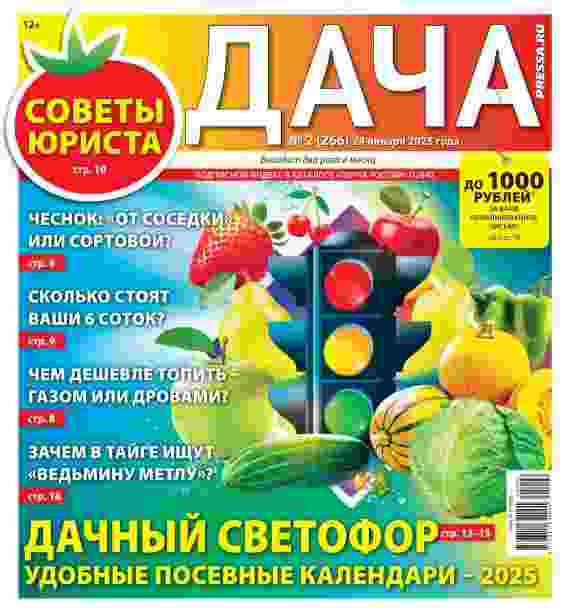 jurnal/dacha/2-01-2025.jpg