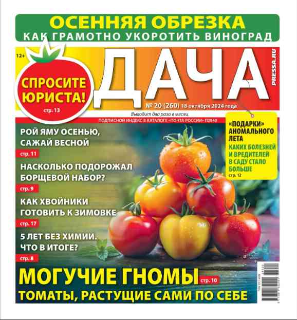 jurnal/dacha/20-10-2024.jpg