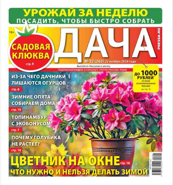 jurnal/dacha/22-11-2024.jpg