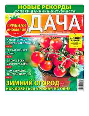 jurnal/dacha/23-12-2024.jpg