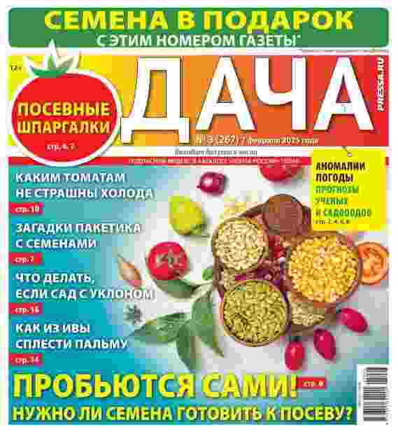 jurnal/dacha/3-02-2025.jpg