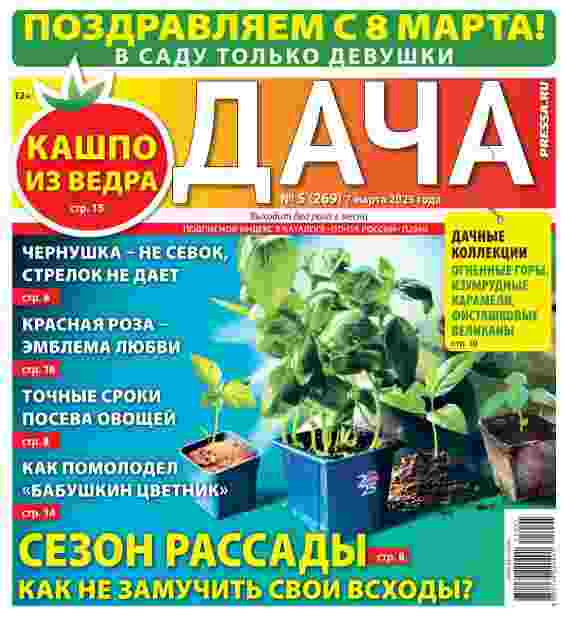 Дача: №5 за март 2025г.