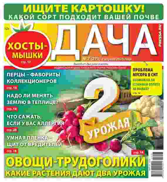 Дача: №7 за апрель 2025г.