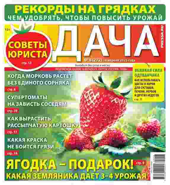 Дача: №8 за апрель 2025г.