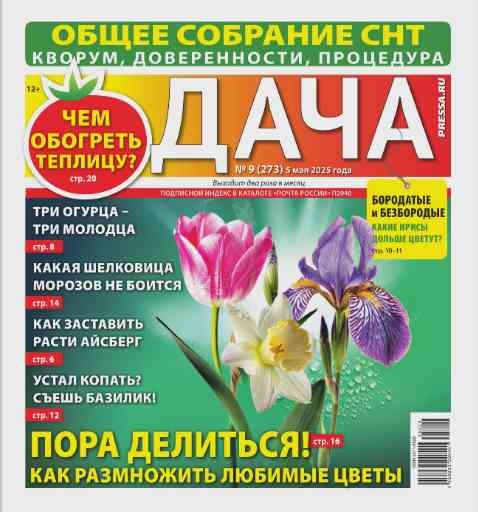 Дача: №9 за май 2025г.