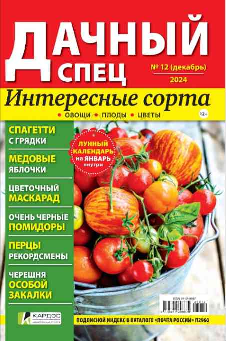 jurnal/dachnihy-spec/12-12-2024.jpg