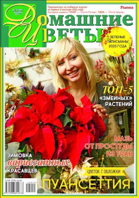 jurnal/domashhnie-cvetih/12-12-2024.jpg