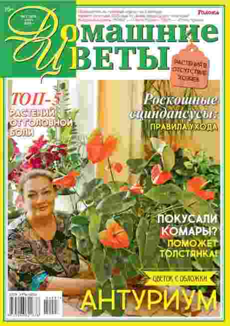 jurnal/domashhnie-cvetih/7-07-2024.jpg