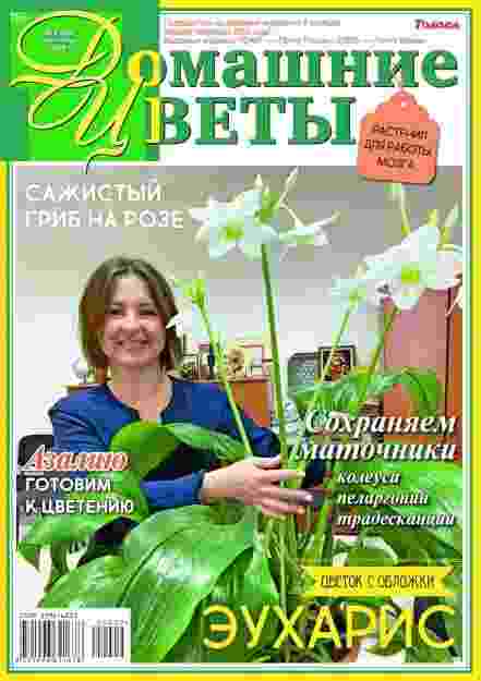 jurnal/domashhnie-cvetih/9-09-2024.jpg