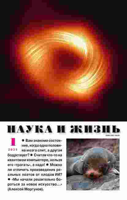 jurnal/nauka-i-zhiznjh/1-01-2025.jpg