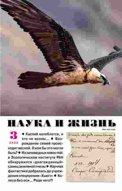 Наука и жизнь: №3 за март 2025г.