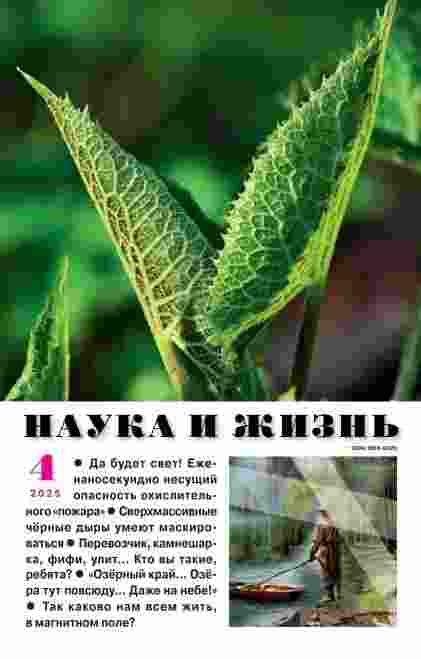 Наука и жизнь: №4 за апрель 2025г.