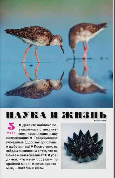 Наука и жизнь: №5 за май 2025г.