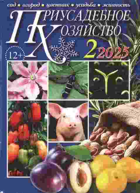 jurnal/priusadebnoe-khozjaystvo/2-02-2025.jpg