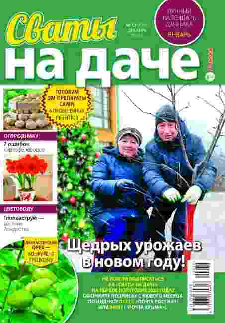 jurnal/svatih-na-dache/12-12-2024.jpg