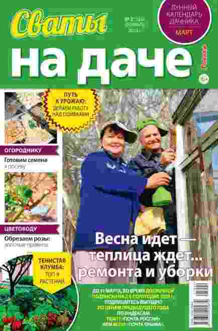 Сваты. На даче: №2 за февраль 2025г.