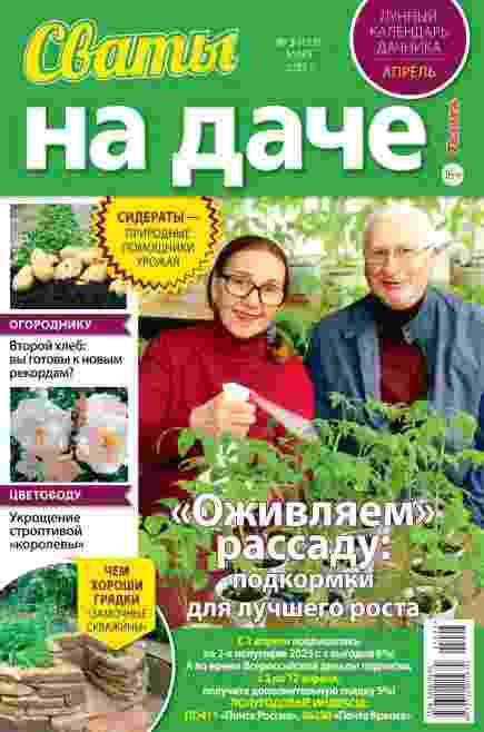 Сваты. На даче: №3 за март 2025г.